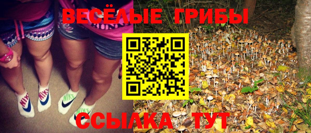 Галлюциногенные грибы мухоморы  Галлюциногенные грибы мухоморы  Вход с VPN  Шадринск 
